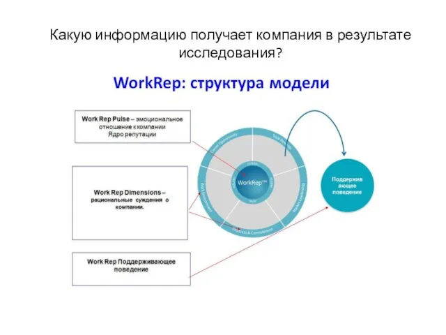 Какую информацию получает компания в результате исследования?