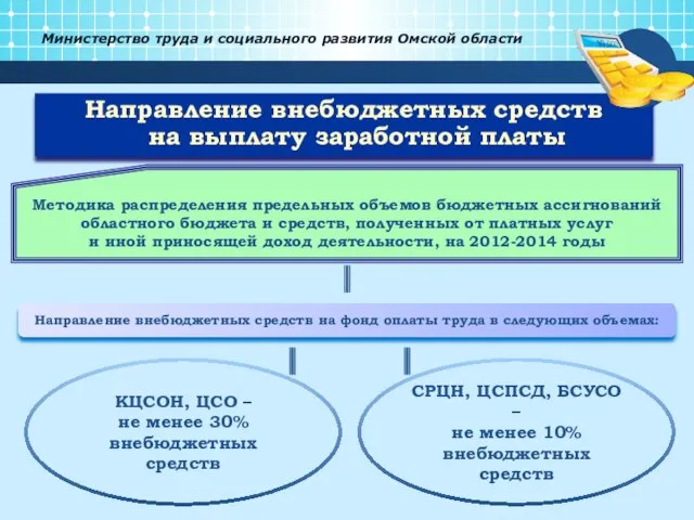 Министерство труда и социального развития Омской области Направление внебюджетных средств на выплату