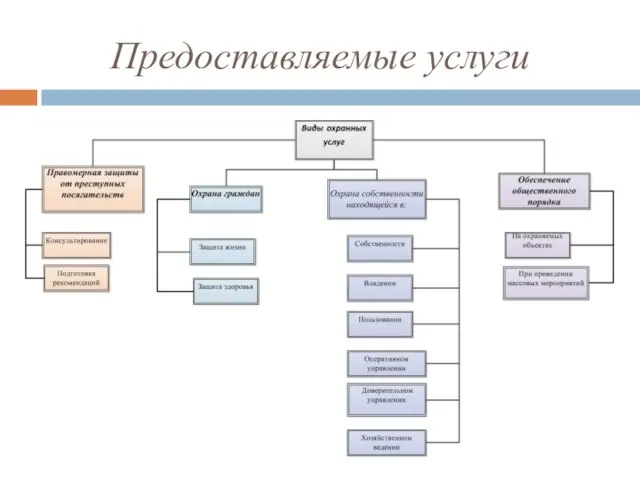 Предоставляемые услуги