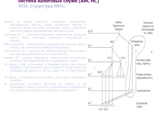 Раздел IV. Автоматизированная информационная система налоговых служб (АИС НС) VIII. Структура МНС.