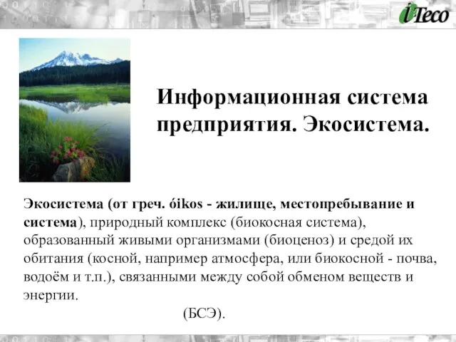 Информационная система предприятия. Экосистема. Экосистема (от греч. óikos - жилище, местопребывание и