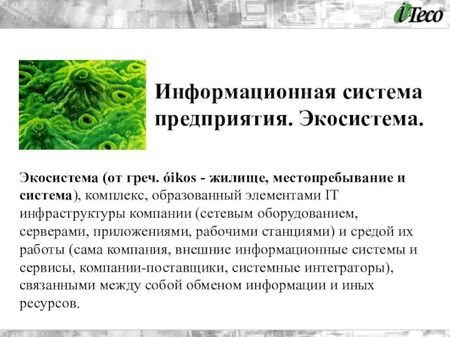 Информационная система предприятия. Экосистема. Экосистема (от греч. óikos - жилище, местопребывание и