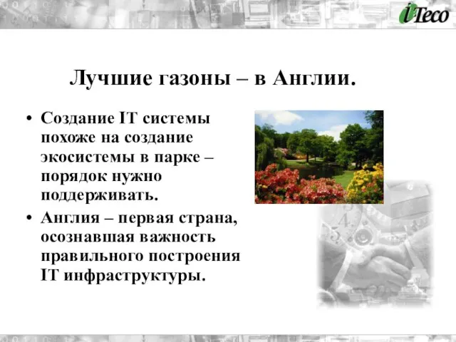 Создание IT системы похоже на создание экосистемы в парке – порядок нужно