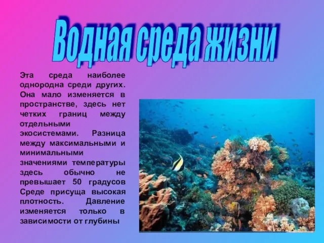 Водная среда жизни Эта среда наиболее однородна среди других. Она мало изменяется