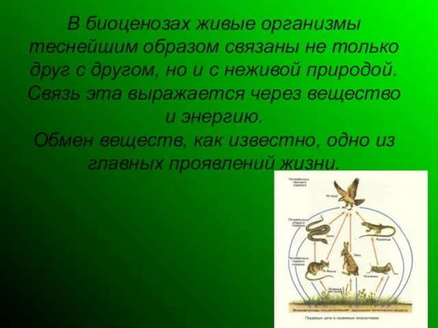 В биоценозах живые организмы теснейшим образом связаны не только друг с другом,