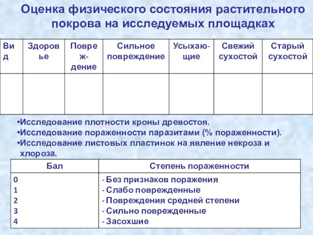 Исследование плотности кроны древостоя. Исследование пораженности паразитами (% пораженности). Исследование листовых пластинок