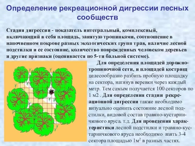 Определение рекреационной дигрессии лесных сообществ Стадия дигрессии - показатель интегральный, комплексный, включающий