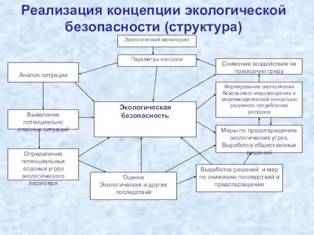 Реализация концепции экологической безопасности (структура)