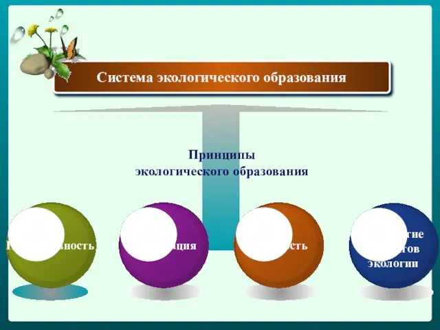 Принципы экологического образования