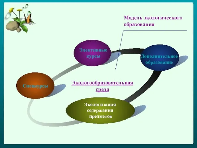 Спецкурсы Элективные курсы Дополнительное образование Экологизация содержания предметов Модель экологического образования Экологообразовательная среда