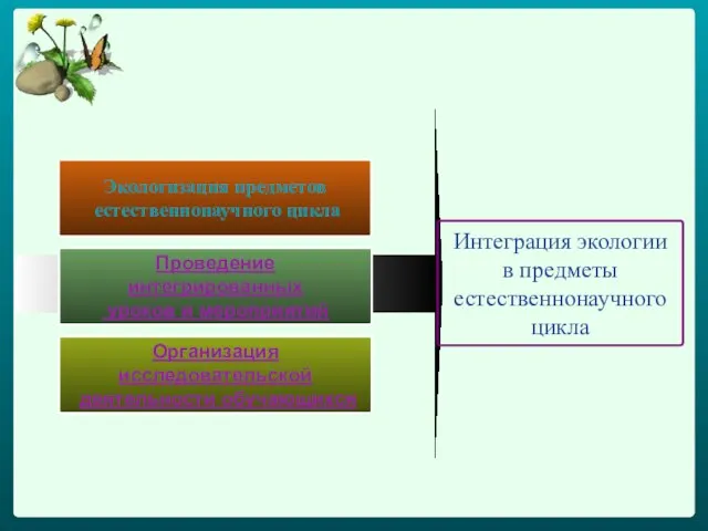 Экологизация предметов естественнонаучного цикла Проведение интегрированных уроков и мероприятий Организация исследовательской деятельности