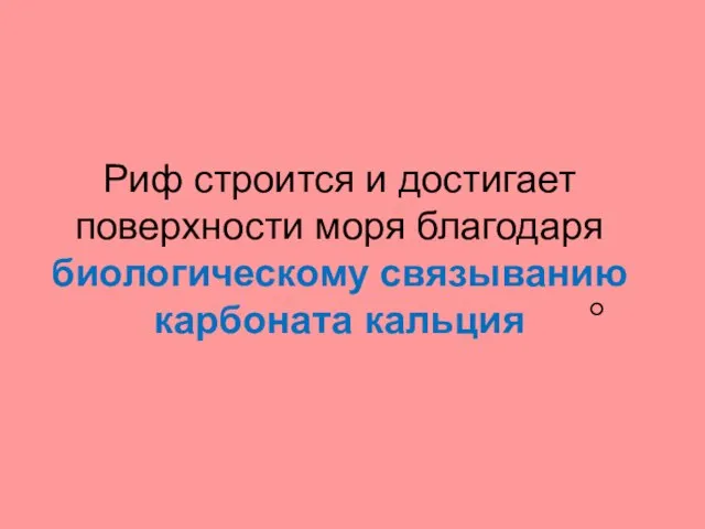 Риф строится и достигает поверхности моря благодаря биологическому связыванию карбоната кальция