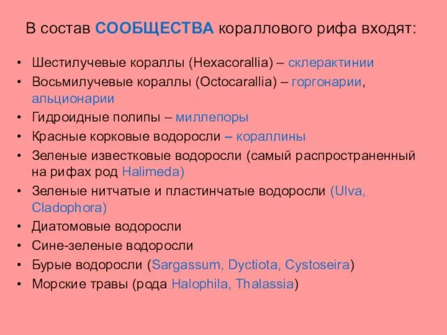 В состав СООБЩЕСТВА кораллового рифа входят: Шестилучевые кораллы (Hexacorallia) – склерактинии Восьмилучевые