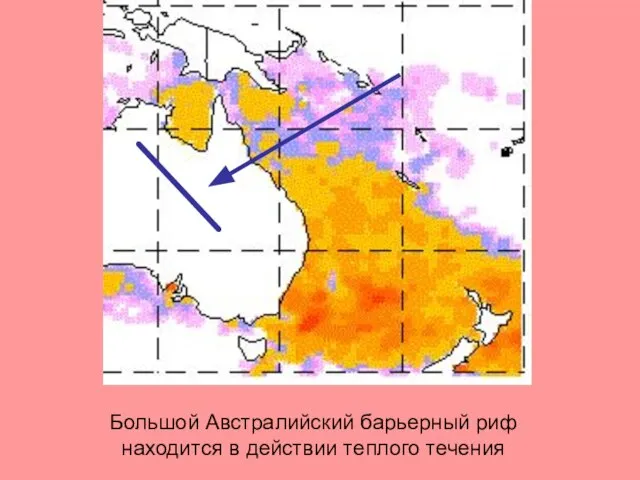 Большой Австралийский барьерный риф находится в действии теплого течения