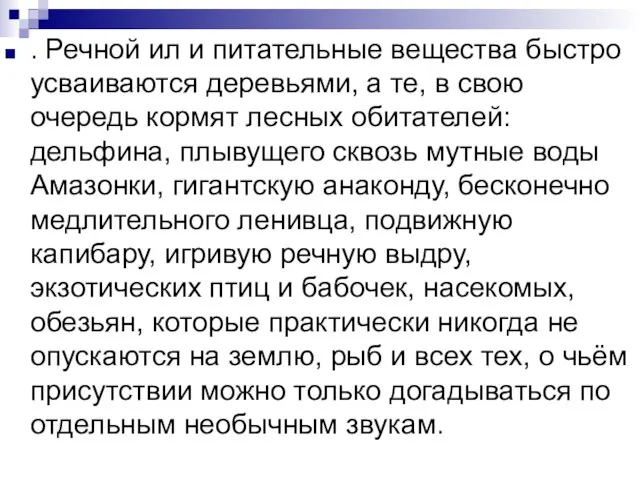 . Речной ил и питательные вещества быстро усваиваются деревьями, а те, в