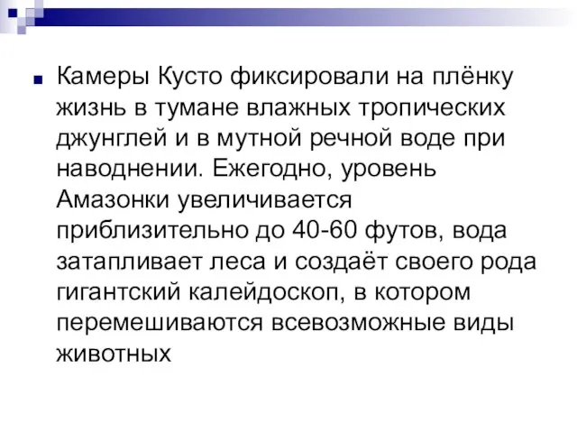 Камеры Кусто фиксировали на плёнку жизнь в тумане влажных тропических джунглей и