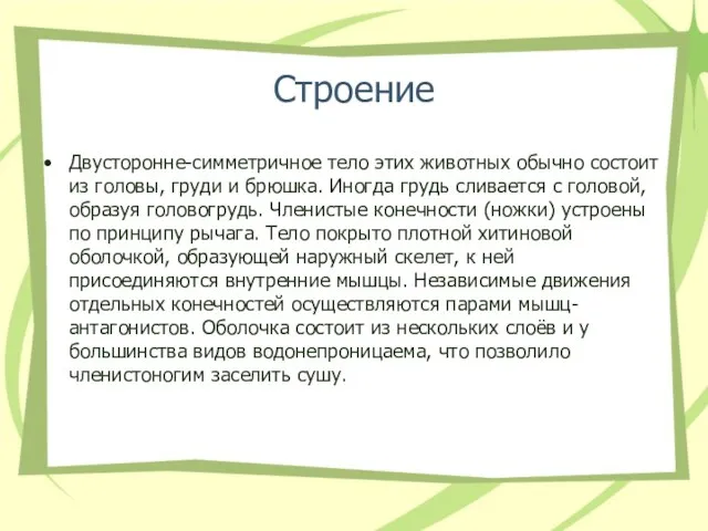 Строение Двусторонне-симметричное тело этих животных обычно состоит из головы, груди и брюшка.