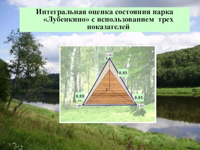 Интегральная оценка состояния парка «Лубенкино» с использованием трех показателей