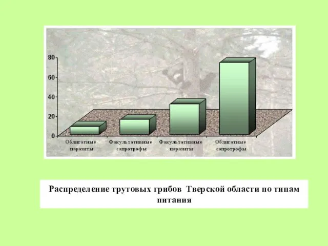 Распределение трутовых грибов Тверской области по типам питания