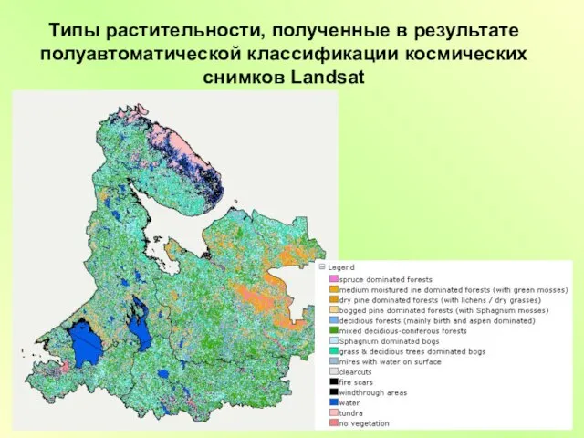 Типы растительности, полученные в результате полуавтоматической классификации космических снимков Landsat