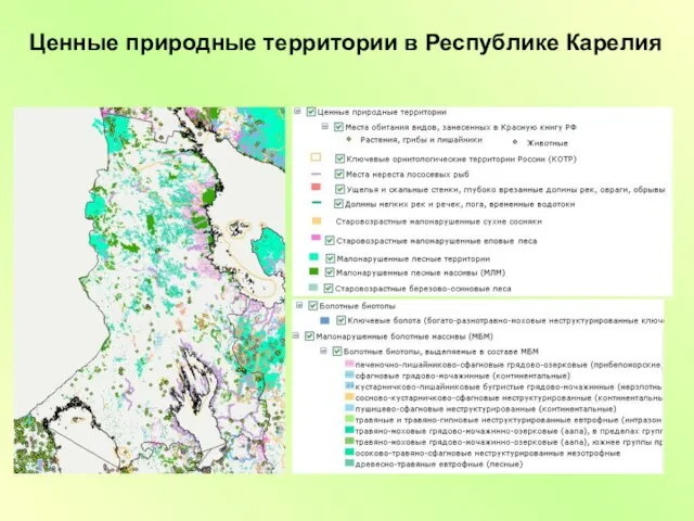 Ценные природные территории в Республике Карелия