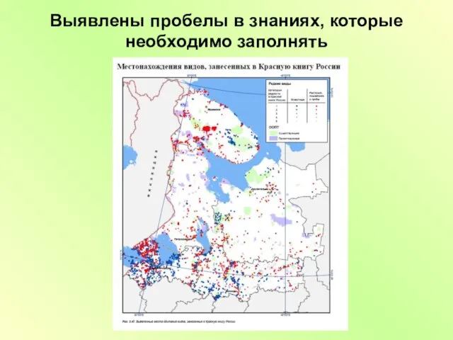 Выявлены пробелы в знаниях, которые необходимо заполнять