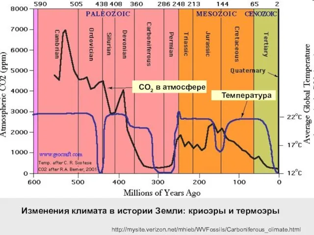 Изменения климата в истории Земли: криоэры и термоэры http://mysite.verizon.net/mhieb/WVFossils/Carboniferous_climate.html