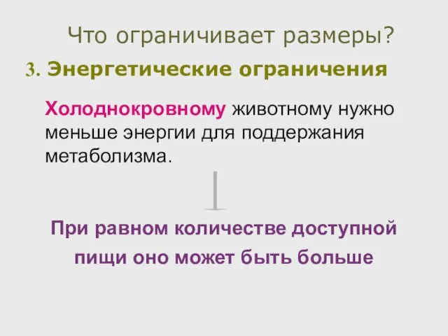 Энергетические ограничения Что ограничивает размеры? Холоднокровному животному нужно меньше энергии для поддержания