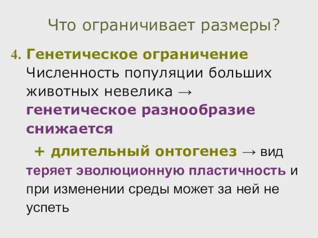 Генетическое ограничение Численность популяции больших животных невелика → генетическое разнообразие снижается +