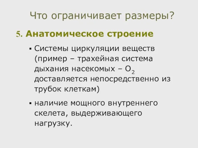 Анатомическое строение Системы циркуляции веществ (пример – трахейная система дыхания насекомых –