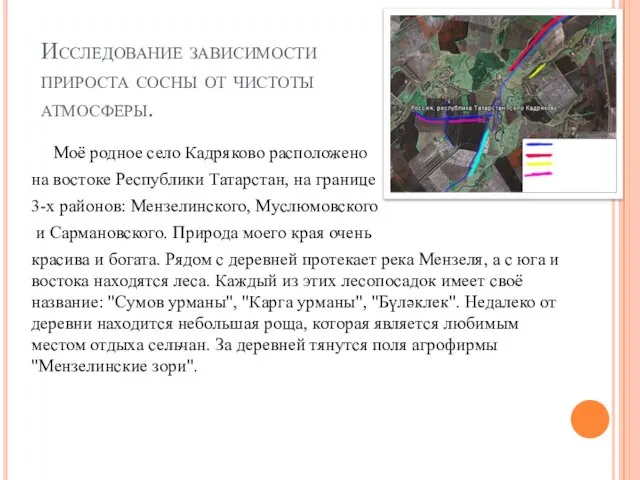 Исследование зависимости прироста сосны от чистоты атмосферы. Моё родное село Кадряково расположено