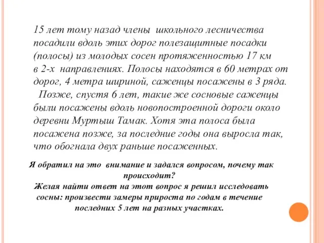 15 лет тому назад члены школьного лесничества посадили вдоль этих дорог полезащитные