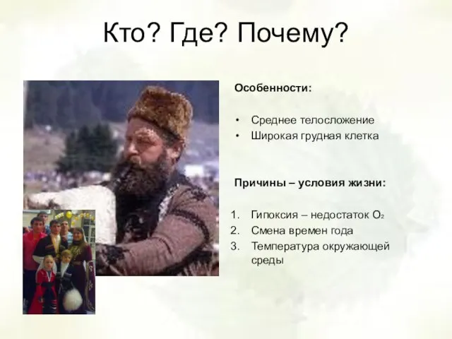 Кто? Где? Почему? Особенности: Среднее телосложение Широкая грудная клетка Причины – условия