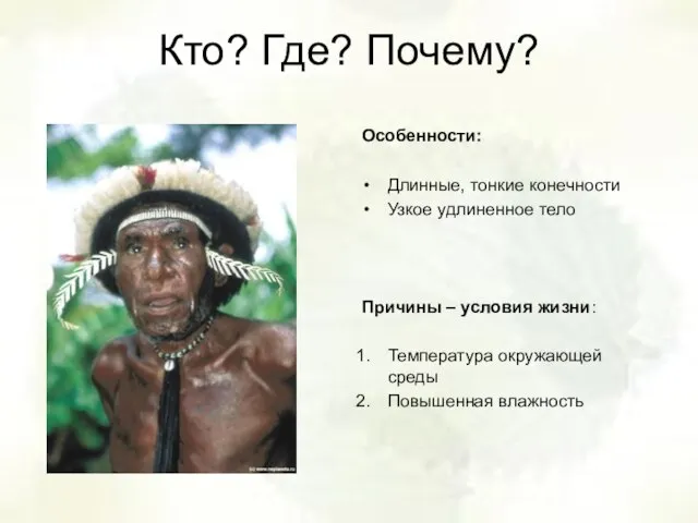 Кто? Где? Почему? Особенности: Длинные, тонкие конечности Узкое удлиненное тело Причины –