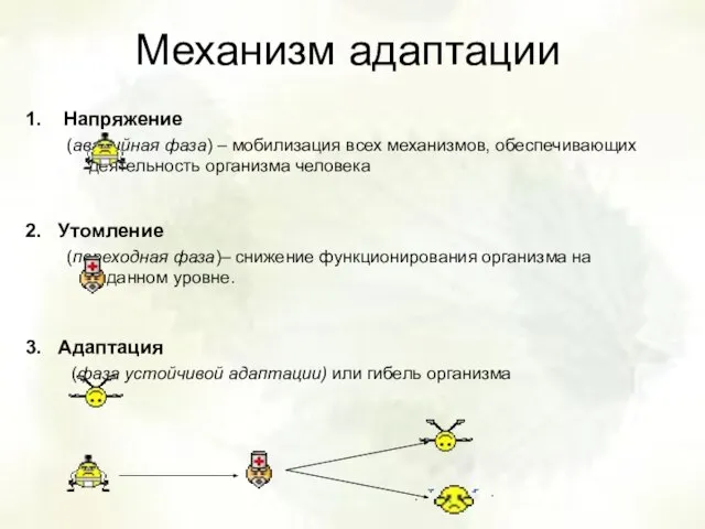 Механизм адаптации Напряжение (аварийная фаза) – мобилизация всех механизмов, обеспечивающих деятельность организма