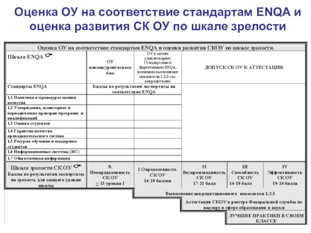 Оценка ОУ на соответствие стандартам ENQA и оценка развития СК ОУ по шкале зрелости