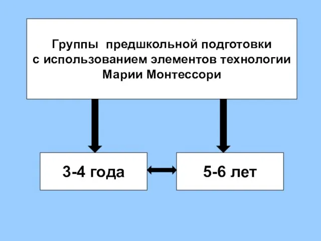 Группы предшкольной подготовки с использованием элементов технологии Марии Монтессори 3-4 года 5-6 лет