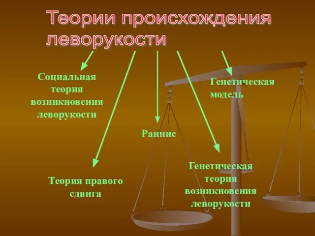 Социальная теория возникновения леворукости Теории происхождения леворукости Социальная теория возникновения леворукости Генетическая