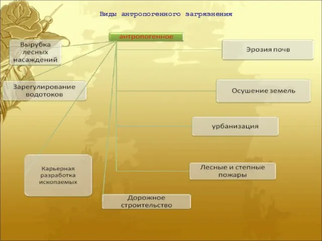 Виды антропогенного загрязнения