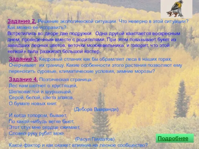 Задание 2. Решение экологической ситуации. Что неверно в этой ситуации? Как можно