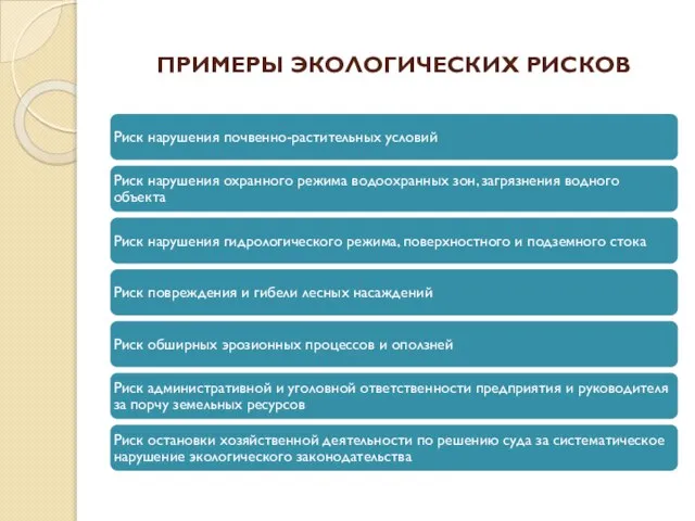 ПРИМЕРЫ ЭКОЛОГИЧЕСКИХ РИСКОВ