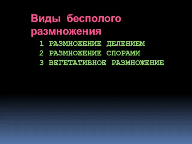 Виды бесполого размножения 1 РАЗМНОЖЕНИЕ ДЕЛЕНИЕМ 2 РАЗМНОЖЕНИЕ СПОРАМИ 3 ВЕГЕТАТИВНОЕ РАЗМНОЖЕНИЕ