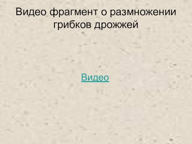 Видео фрагмент о размножении грибков дрожжей Видео