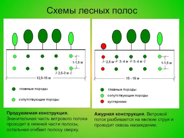 Схемы лесных полос Продуваемая конструкция. Значительная часть ветрового потока проходит в нижней