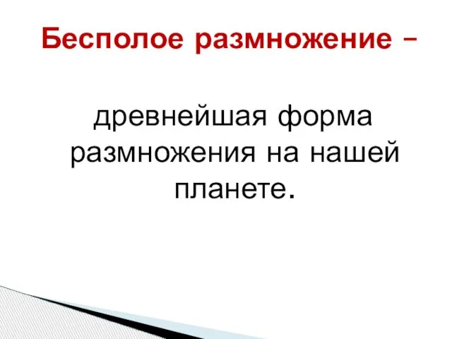 Бесполое размножение – древнейшая форма размножения на нашей планете.