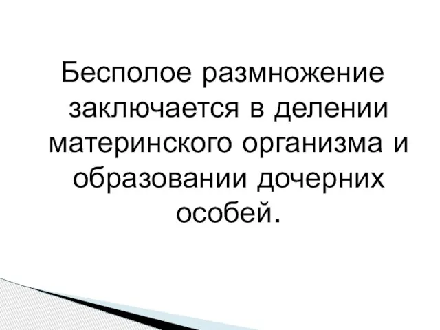 Бесполое размножение заключается в делении материнского организма и образовании дочерних особей.