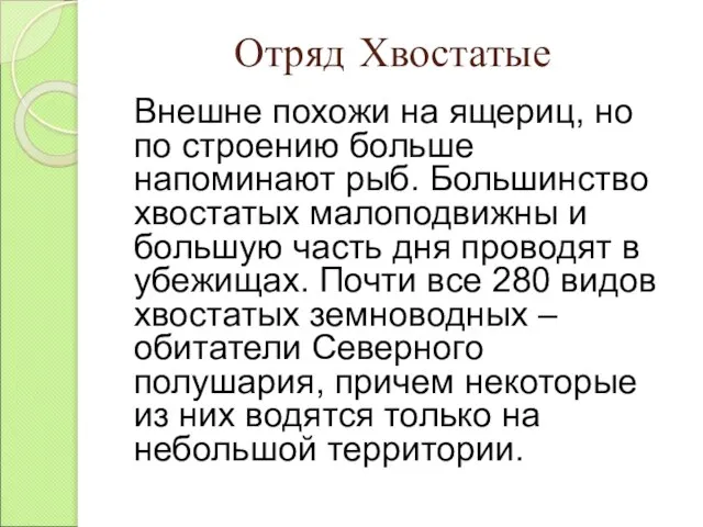 Отряд Хвостатые Внешне похожи на ящериц, но по строению больше напоминают рыб.