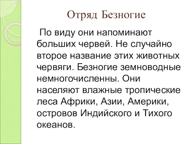 Отряд Безногие По виду они напоминают больших червей. Не случайно второе название