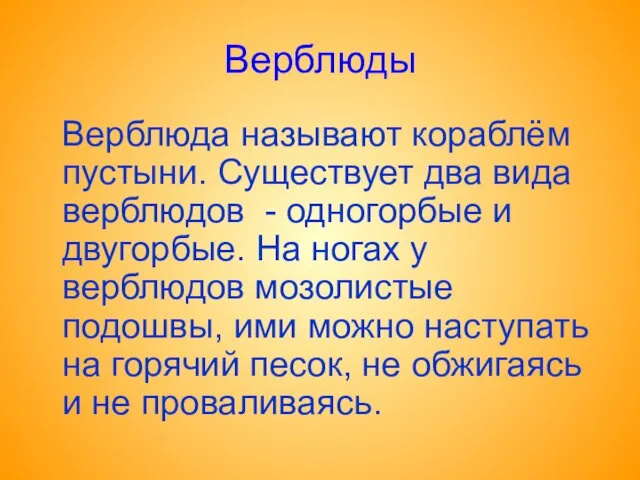 Верблюды Верблюда называют кораблём пустыни. Существует два вида верблюдов - одногорбые и