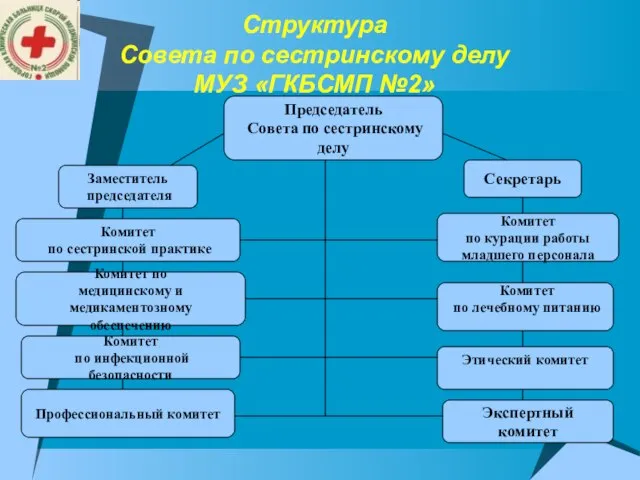 Структура Совета по сестринскому делу МУЗ «ГКБСМП №2» Председатель Совета по сестринскому